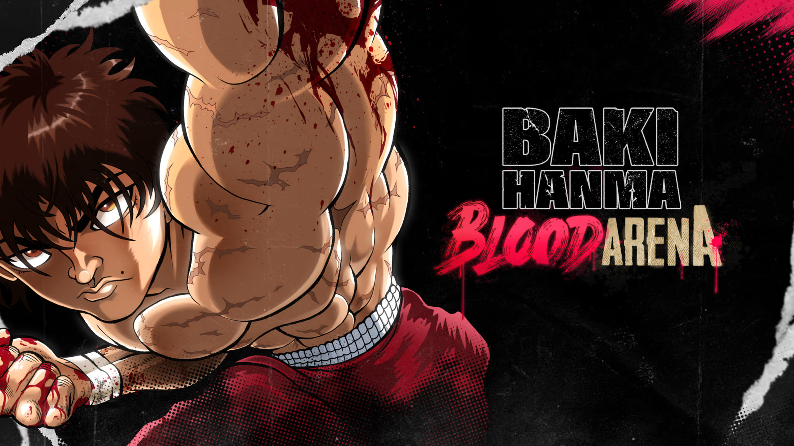 Baki Hanma Blood Arena Switch Nsp