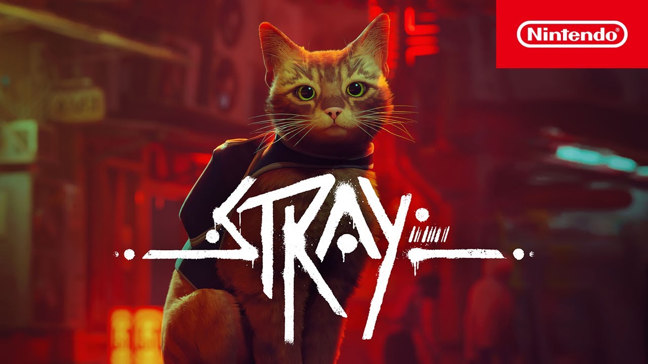 Stray Switch NSP