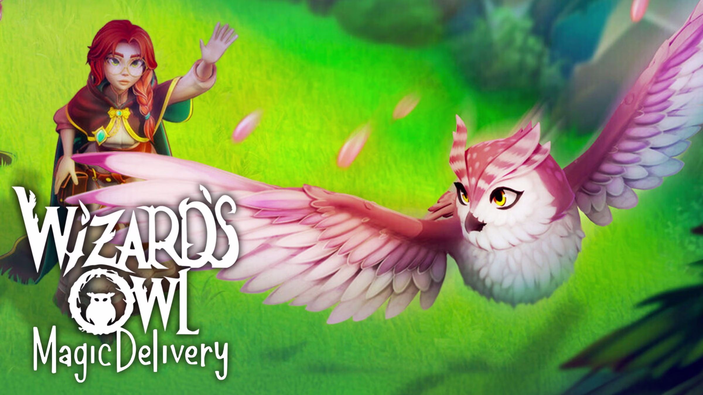 Wizards Owl: Magic Delivery Switch NSP